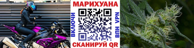 Конопля конопля Карачев